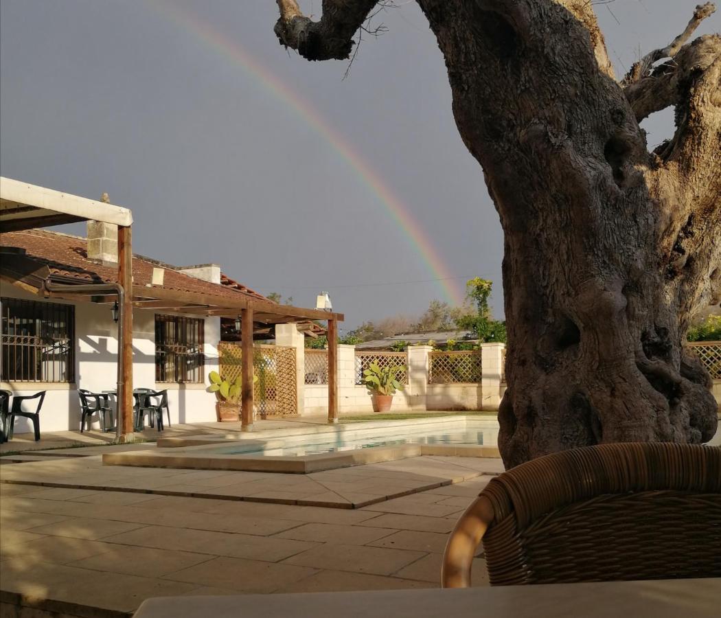 Hotel Casasalento Cavallino di Lecce Exteriér fotografie